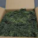 9FT Thick Christmas Garlands with 240 Cedar Branches, 50 Lights, Green Cedar Garland for Christmas Decorations, Artificial Greenery Garland for Table Mantle Wall Indoor Outdoor Holiday Decor (Cedar Pre-lit 9FT Ultra Full(1200 Tips))