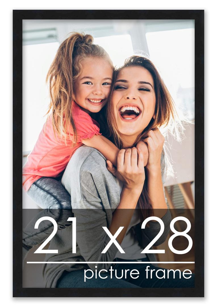 Picture Frame, 21x28 Inches, Black