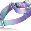 Martingale Dog Collar Colorful Gradient Fashionable - Anti-Escape Soft Durable Pets Collar for Walking Training Outdoor Daily Use -Large, Purple Green