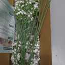 MARTINE MALL Babys Breath Artificial Flowers, 10 PCS White Baby Breath Flowers Artificial Bulk, Fake Babys Breath Gypsophila Real Touch Faux Babys Breath for Wedding Floral Arrangement Home Decor