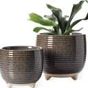 LE TAUCI Ceramic Plant Pots, 5.1 + 6.4 Inch Footed Pots for Plants, Modern Flower Pots for Home and Office, Indoor Planters with Drainage, Reactive Glaze Black