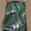 XONOR 100Pcs Artificial Monstera Leaves Fake Tropical Faux Palm Leaves with Stem for Jungle Hawaiian Dinosaur Luau Party Table Decoration Wedding Birthday Theme Party, Leaf Size: 7''x 5'' (11.8)