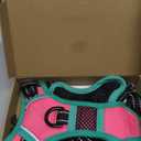 PHOEPET 2019 Upgraded No Pull Dog Harness, Reflective Adjustable Vest, with a Training Handle + 2 Metal Leash Hooks+ 3 Snap Buckles +4 Slide Buckles(XS, Pink)