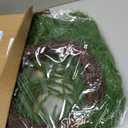 24 Inch Heart Shaped Norfolk Pine Wreath with 15 Inch Black Hanger