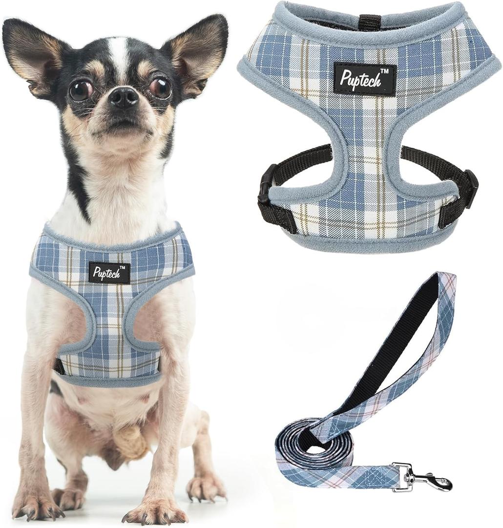 PUPTECK Soft Mesh Dog Harness and Leash Set Pet Puppy Cat Comfort Padded Vest No Pull Harnesses, Sky Blue, XS (XS (NECK: 10", CHEST: 10"-14"))