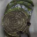 Bearded Dragon Tank Accessories Medium Reptile Hide Reptile Hides and Caves for Gecko