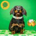 Lionheart glory St. Patrick's Day Dog Collar, Clover Green Dog Collars for Large Dogs Spring Pet Collar Adjustable Heavy-Duty Puppy Collars Pet Gift