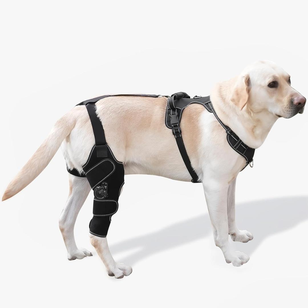 Dog Knee Brace with Adjustable Support ACL & CCL Tear Recovery, Post-Surgery Stabilization, Mobility Aid for Rear Legs Includes Secure Chest Harness for Dogs(Right,M)