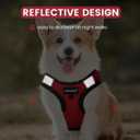 FAYOGOO Service Dog Vest for Small Breed - Lightweight Dog Harness with 6PCS Removable Patches - Puppy Harness and Leash Set for Walking,Training (Red)