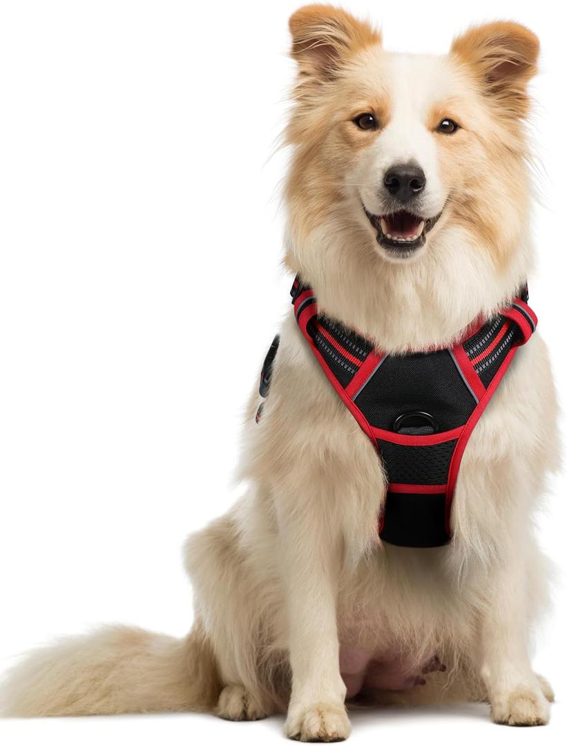 Rabbitgoo Dog Harness No Pull with 2 Leash Clips, Adjustable Soft Padded, Reflective Oxford No Choke Pet Vest with Easy Control Handle for Medium Sized Dogs, Black & Red, M