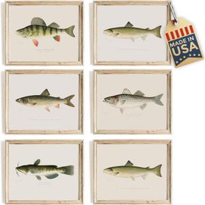 Fish Wall Art Prints (Set of 6) - Unframed - 8x10s | Vintage Fishing Decor - Reproductions of Vintage Fish Drawings - Midwest Fish Species - Great Gift for Fisherman