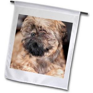3dRose fl_204057_2 "A Close Up with A Large Aperture of A Shih Tzu Dog in Brindle Garden Flag, 18 x 27