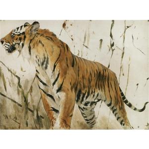 Vintage Tiger Watercolor Print: Animal Wall Art 36X24 