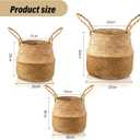 Patelai 3 Set Seagrass Belly Storage Basket Woven Plant Pot Holder with Handles for Plants Picnic Grocery Laundry(Natural Color)