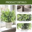 CCILAND 3 Pack Small Potted Fake Plants, Artificial Eucalyptus Plants, Lifelike Faux Frost-Hung Plants Topiaries for Home Office Shelf Desk Living Room Greenery Decor