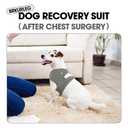 BRKURLEG Chest Recovery Suit for Dogs, Dog Chest Wound Cover, Breathable & Soft Pet Surgery Recovery Suit, Anti-Licking Wound Vest, Not for Spay/Neuter Surgeries, Pet Cone Alternative, Grey XL