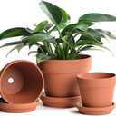 INGOFIN Terracotta Pots Set with Saucer - 5/6/7 inch Ceramic Clay Planters with Drainage Hole, Garden Flower Succulent Pots with Tray for Indoor Outdoor Plants, Set of 3