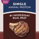 Natural Balance Limited Ingredient Small-Breed Adult Dry Dog Food with Healthy Grains, Beef & Brown Rice, 12 Pound (Pack of 1)