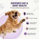 Joint Supplement for Dogs 200 ct, Glucosamine Chondroitin MSM for All Dogs EXP: 05/13/2028
