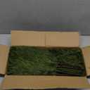 Alupssuc 18 Inch Norfolk Pine Stems, 12 Pcs Real Touch Norfolk Pine Branch, Christmas Greenery Stems for Vase DIY/Garland Making/Table Decoration, Christmas Decoration for Indoor, Outdoor & Home