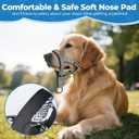 2 x Gentle Dog Head Collar, Soft Nylon No Pull Padded Halter with Fashion Stripes, Breathable Nose Leash for Dogs, Anti Pulling Barking(M)