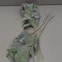 SHACOS Artificial Flocked Lambs Ear Stem 12 Pieces Lamb's Ear Branch Foliage Pick Greenery Leaf Flower Spray for Home Wedding DIY Floral Arrangement
