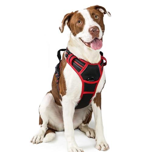 rabbitgoo Dog Harness, No-Pull Pet Harness with 2 Leash Clips, Adjustable Soft Padded Dog Vest, Reflective No-Choke Pet Oxford Vest with Easy Control Handle for Large Dogs, Black & Red, L