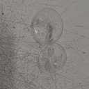 Flange Massage Cushions 19mm Compatible with Spectra/Medela 24mm Shields/Flanges Replace Flange Inserts Spectra Breastpump Parts Reduce 24m