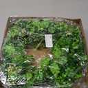 Thick & Timer - St Patricks Day Decorations, 18 Inch St Patricks Day Shamrock Wreaths for Front Door with 20 Green Lights Glitter Clover Berries Spring Wreath Irish St. Patrick's Day Door Decorations