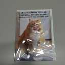 4 x Funny Cat Birthday Cardfor Women, Men, Coworkers, Friends & Family plus Free bonus Postcard included - a little birdie told us you're a year older