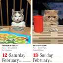 365 Cats Page-A-Day Calendar 2022: The World's Favorite Cat Calendar