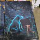 Kitchen Towels 24x16in 2pc