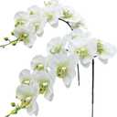 Fnize Faux Orchid Stems Real Touch Artificial Phalaenopsis Flowers Latex Petals 38 Inches 2pcs (Green White)