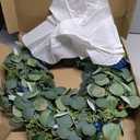 Eucalyptus Wreath for Front Door, COLORSPEC 24 Inch Eucalyptus Wreath with Olive Leaves and Berries All Year Round, Handmade Green Spring Summer Wreaths for Front Door Indoor Outdoor Wedding Holiday