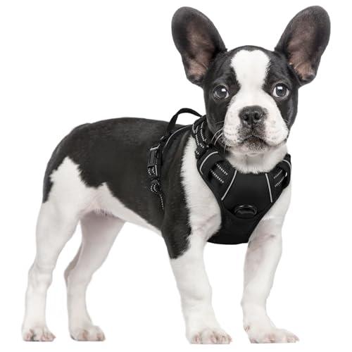Rabbitgoo Dog Harness No Pull with 2 Leash Clips, Adjustable Soft Padded, Reflective Oxford No Choke Pet Vest with Easy Control Handle for Small Dogs, Black, S