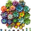 Mys Aurora Succulent Wooden Puzzles for Adults, 500 Piece Unique Shaped Wood Jigsaw Puzzles for Adults and Kids, Fun Challenging Puzzles Family Game Gift, Medium 16.9'' x 16.5''