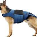 Dog Back Brace for IVDD, Arthritis, Slipped and Herniated Discs Provides Back Support and Pain Relief, Stabilizes Spine for Surgical Recovery and Mobility, Dogs Back Disease Prevention(Blue, XL) (Extra Large)