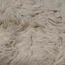 OLANLY 3x5 Machine Washable Small Bedside Rug, Soft Fluffy Shaggy Rugs for Living Room, Bedroom, Indoor Floor Carpet for Kids Girls and Boys, Preppy Dorms, Nursery, Home Decor Aesthetic, Beige