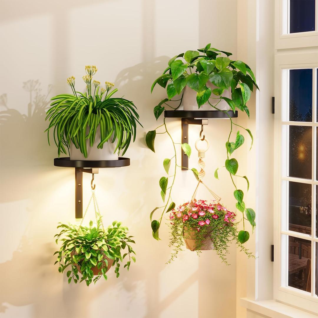 iDavosic.ly Wall Plant Holder with Grow Lights Set of 2 for Indoor Outdoor, Metal Hanger with 2 Hooks, Floating Flower Display Stand for Window, Space Saving & Easy to Assemble (Pots Not Included)