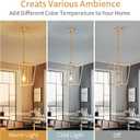 ANJIADENGSHI Lantern Pendant Light Lantern Iron Cage 1 E26 Bulbs Gold Chandelier for Dining Room Kitchen(Bulbs Not Included)