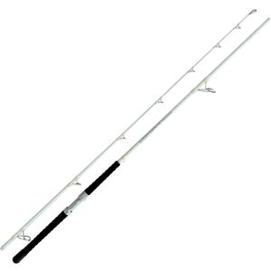 ANCIENT MARINER Catfish Fishing Rods 10' Two-Piece Glow in The Dark Catfishing Fishing Pole Ancient Mariner The Challenger Spinning Rod, Heavy (White)