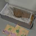 ZESTIGREENS Ceramic Microgreens Growing Kit to Grow 3 Crops Including Organic USDA Sunflower, Melon & Mixed Microgreens Seeds.