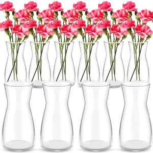 Thenshop 10 Pcs 8'' Tall Clear Glass Flower Vase for Bouquet, Clear
Wide Mouth Vase Bulk, Boho Decorative Vase for Flower Bouquets, Rustic Home Decor, Wedding Centerpieces, Housewarming Gift