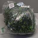 Artificial Boxwood Balls,1 Pcs Artificial Plant Topiary Ball,UV Resistant Decorative Greenery Sphere,Faux Boxwood Decorative Balls for Balcony,Garden,Green Plant Balls,Wedding Decor (14 in)