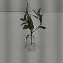 Vase Plant Decor