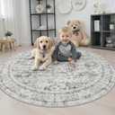 Round Area Rug Living Room: 5 ft Modern Washable Indoor Carpet