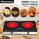 Electric Cooktop,110V 2500W Electric Stove Top with LED Knob Control,9 Power Levels, Kids Lock & Timer,Overheat Protection stove,24 Inch 2 burner cooktop
