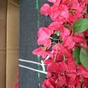 Large Pink Artificial Bougainvillea Tree Artificial Tree for Landscape and Venue Decoration - Indoor Outdoor Use (1.5x1.2m)