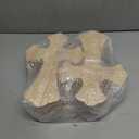 12 Pack 12 Inch Unfinished Wood Crosses Natural Solid Wooden Cross for Crafts (12 x 8 x 0.6 Inches)
