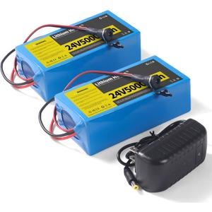 2 Pack 24V 5Ah Lithium Battery with 29.4V 1A Charger, 24V Rechargeable Battery for Outdoor Toys and DIY Projects
